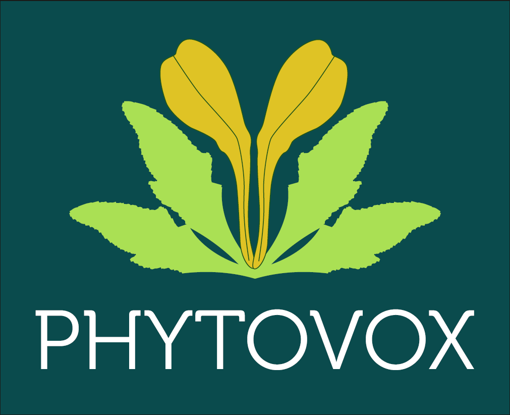 phytoVOX Lozenges by doctorVOX